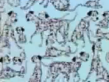 101 Dalmatians 1979 Quebec TV Spot