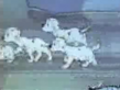 101 Dalmatians 1979 TV Spot