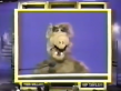 Alf Hollywood Squares