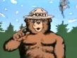 Smokey Says Ad 1995