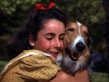 Courage Of Lassie